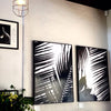 Palms 2