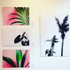 Anthurium