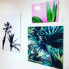 Lugger Palm