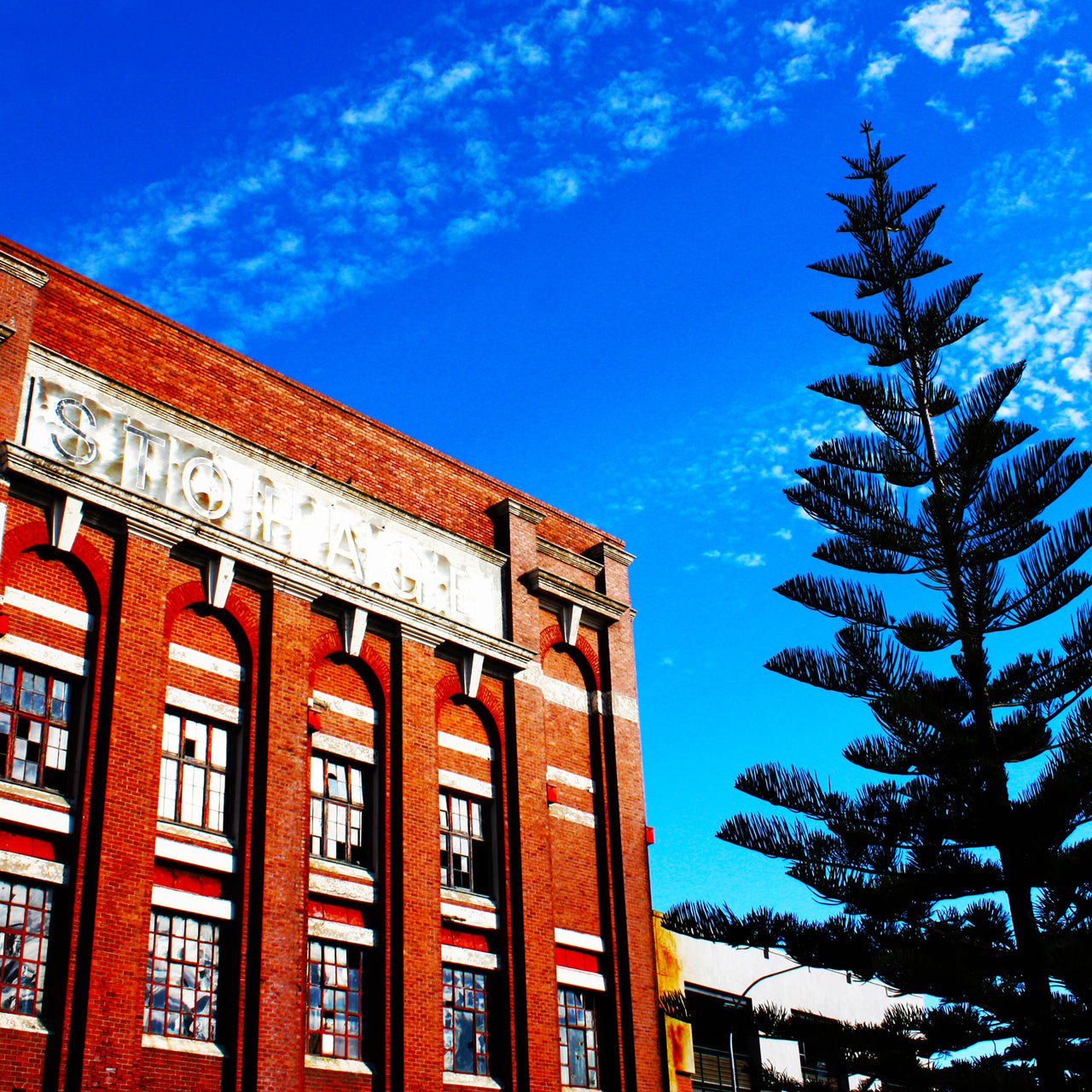 Fort Knox 3 With Pines