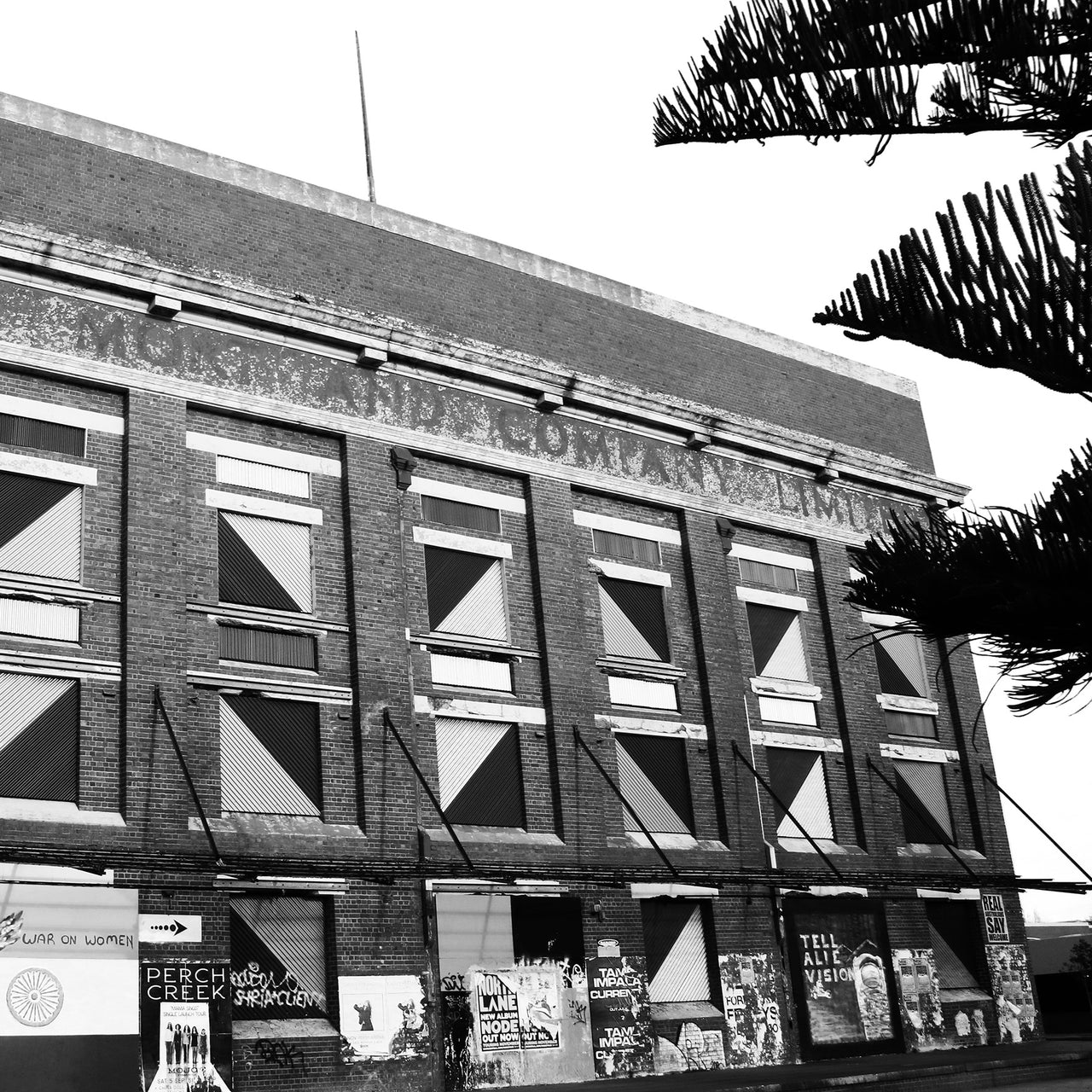 Woolstores With Pine