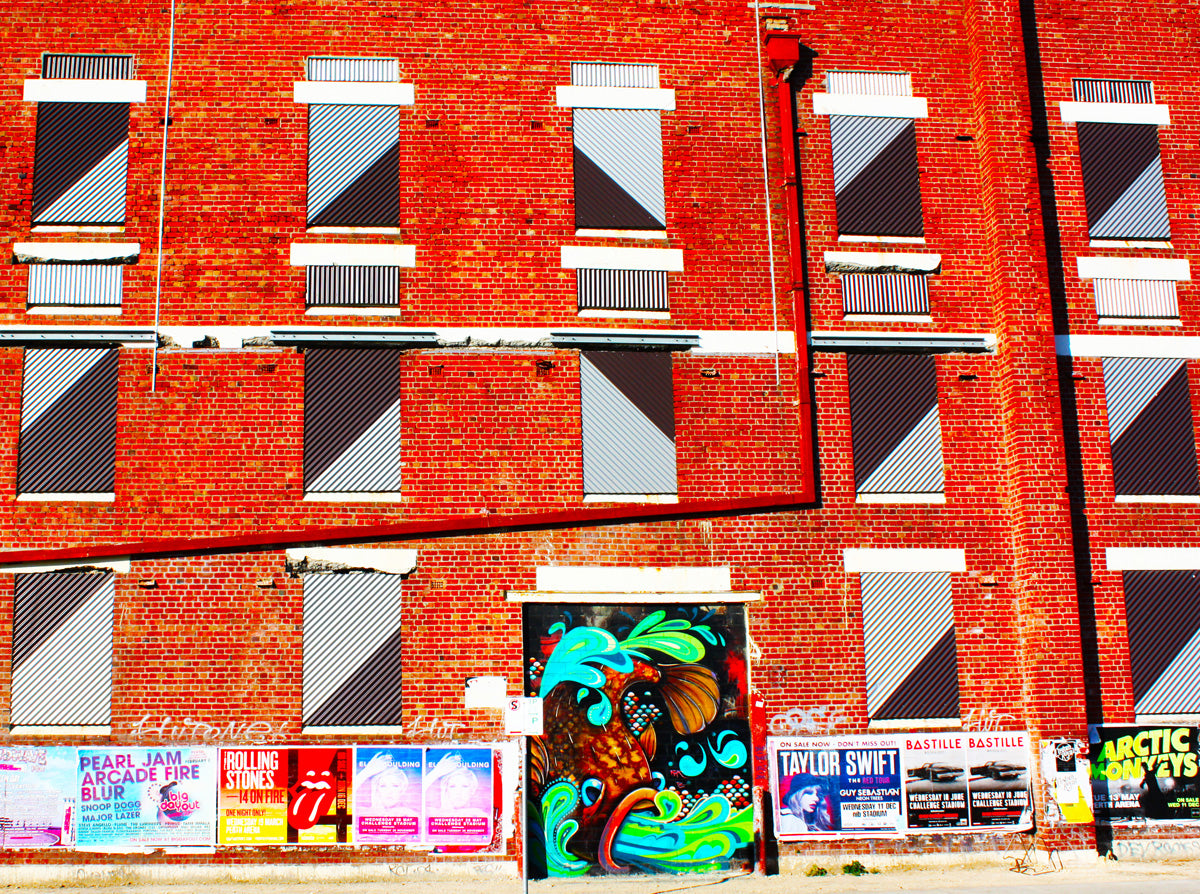 Fish Mural
