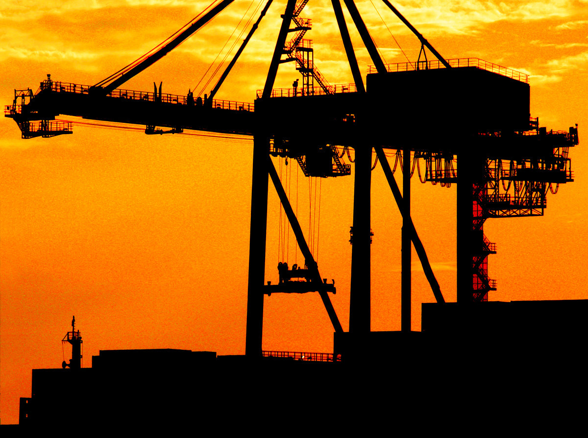 Sunset Sky, Black Crane