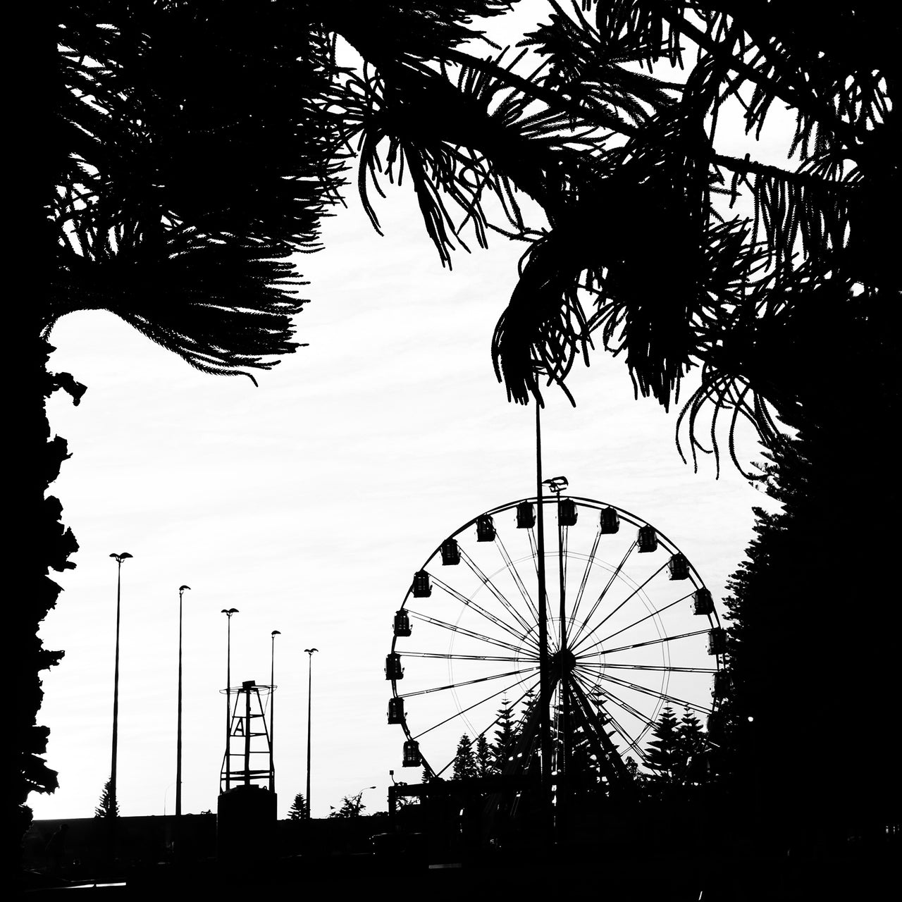 Ferris Wheel