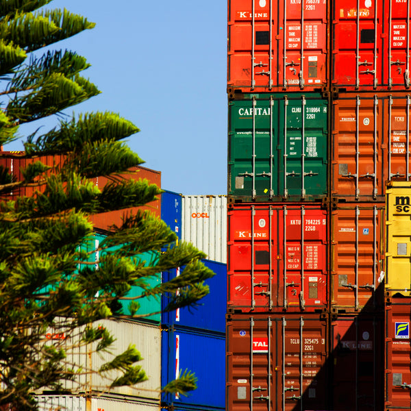 Container Stacks With Pine - FRAMED PRINT